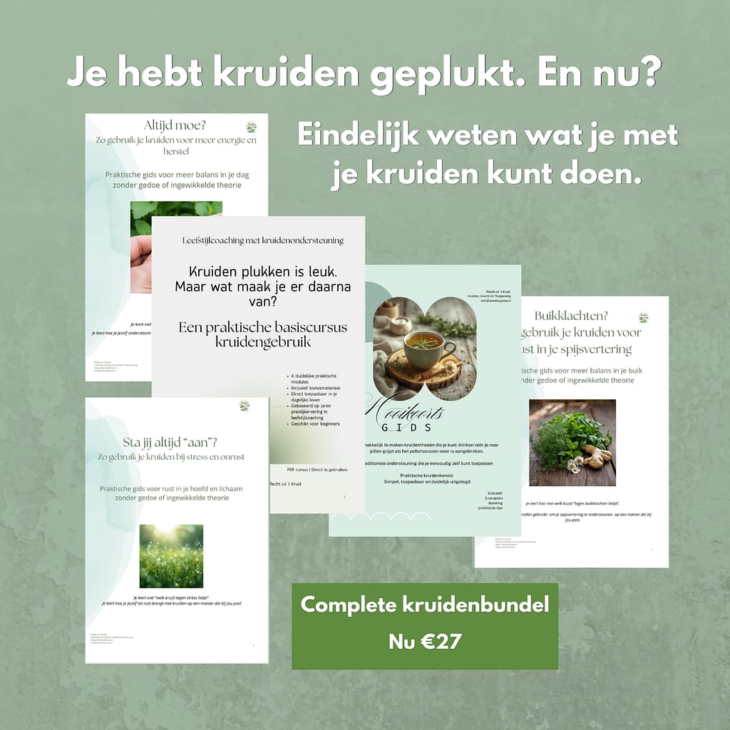 BUNDEL Geen idee waar je moet beginnen? Dit is alles wat je nodig hebt