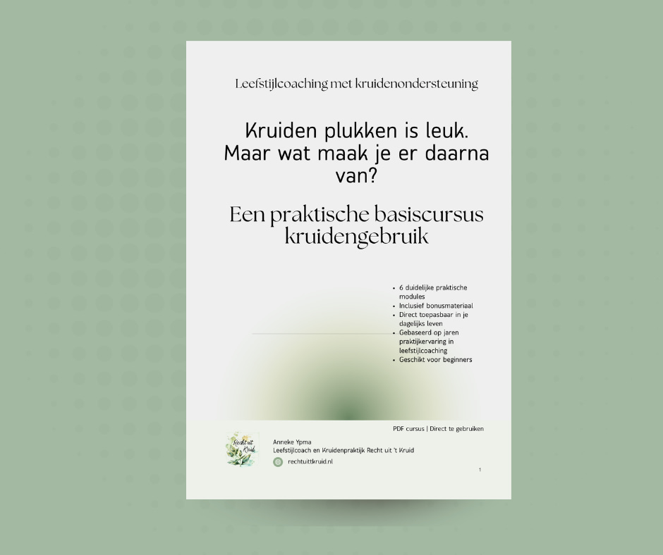 Zo begin je veilig met kruiden handleiding recht uit 't kruid anneke ypma